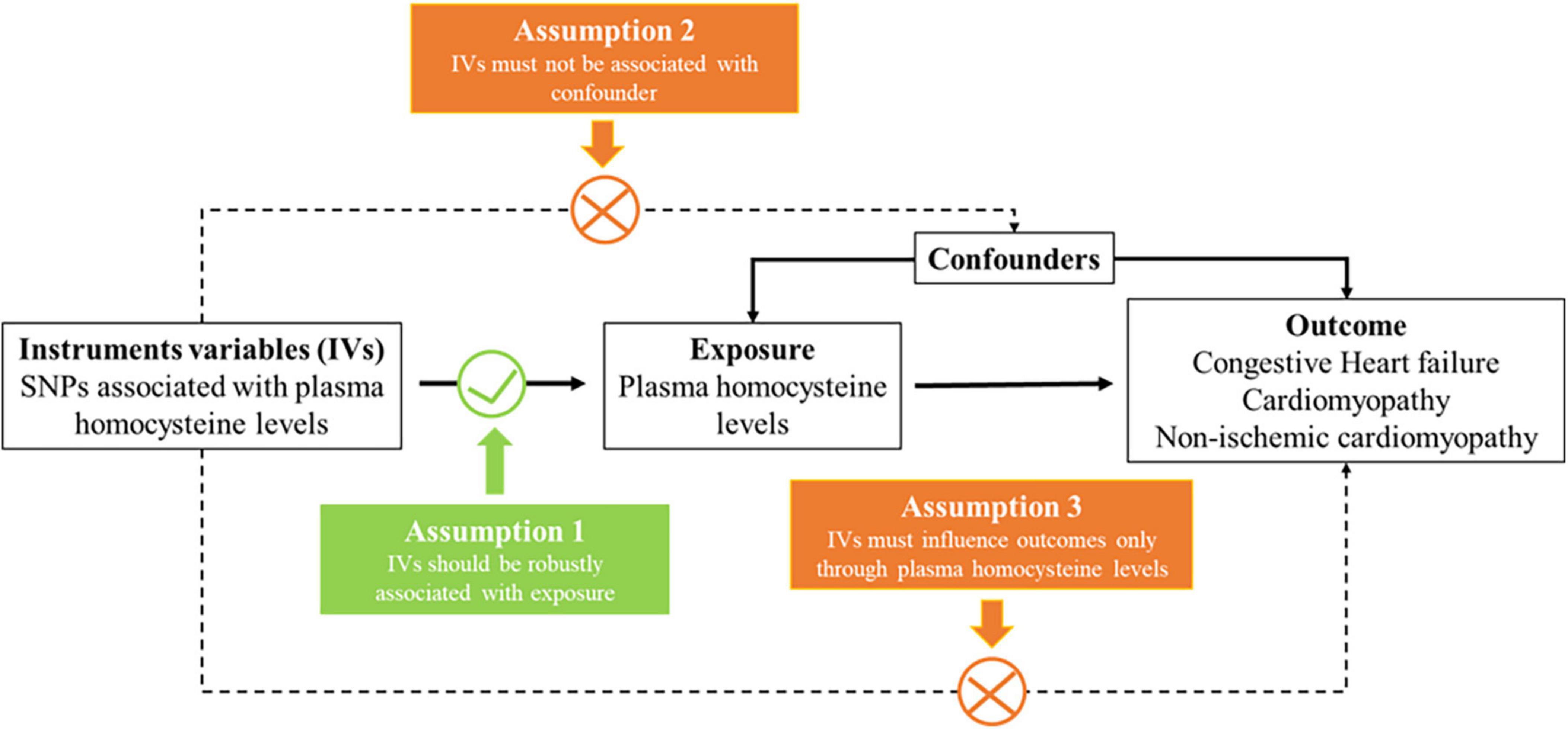 Plasma homocysteine levels and risk of congestive heart failure or cardiomyopathy: A Mendelian randomization study